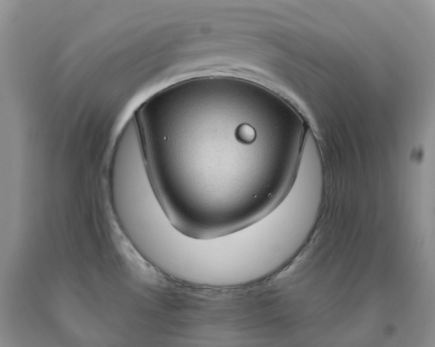 X0000092001530200709201458