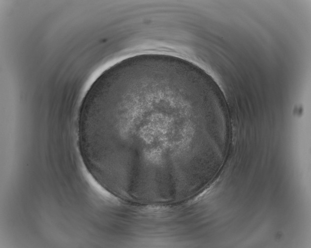 X0000092001531200709201458