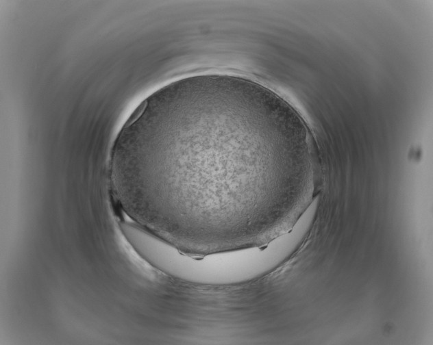 X0000092001532200709201458