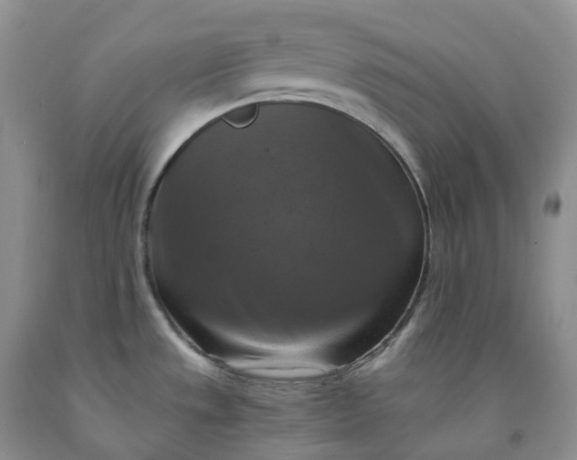 X0000092001533200709201458