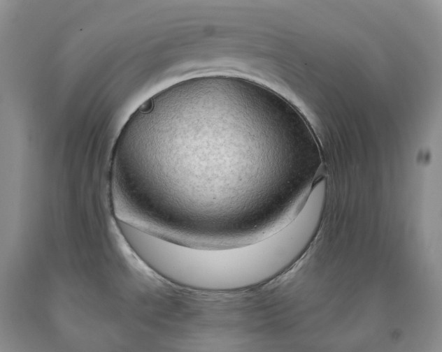 X0000092001534200709201458