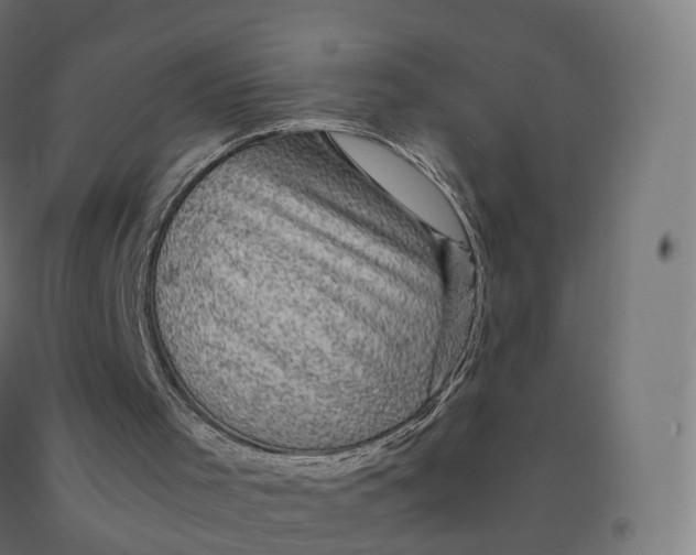 X0000092000001200709271517