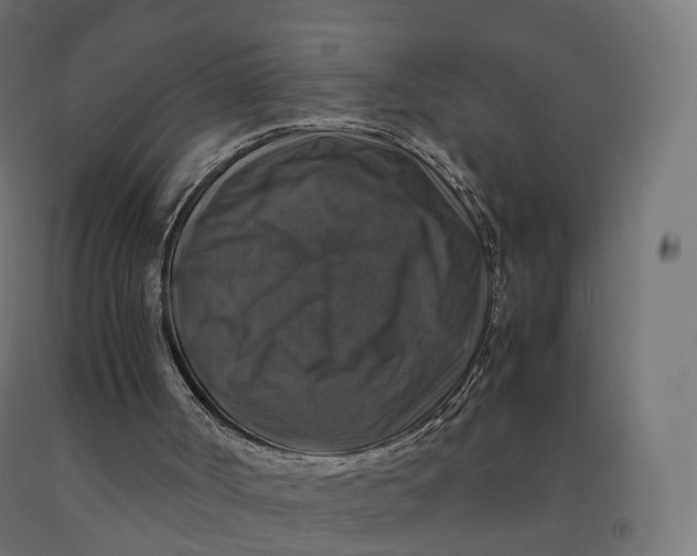 X0000092000002200709271517