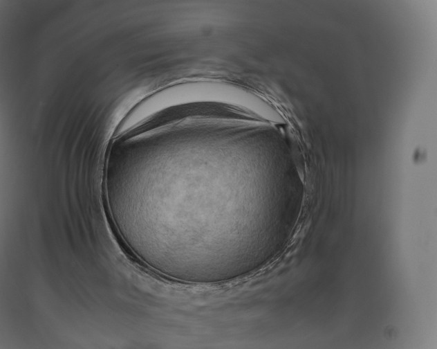 X0000092000003200709271517