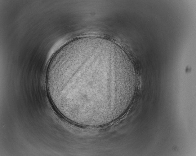 X0000092000004200709271517