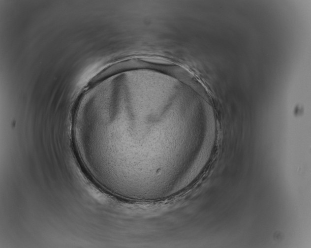 X0000092000005200709271517