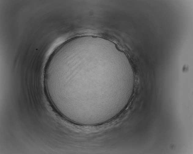 X0000092000006200709271517