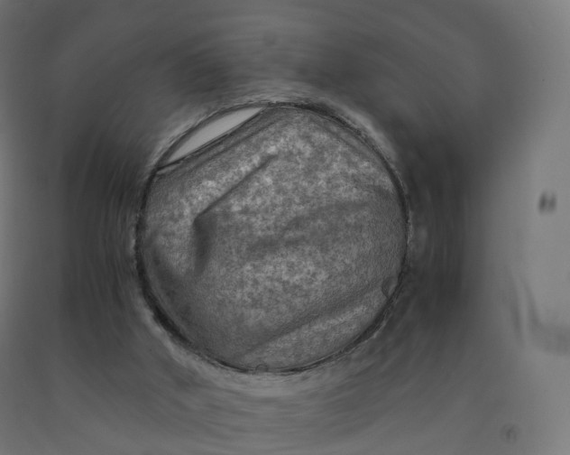 X0000092000010200709271517