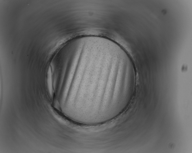 X0000092000013200709271517