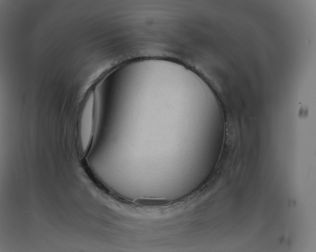 X0000092000015200709271517