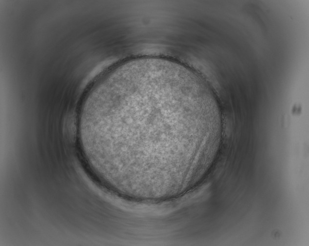 X0000092000016200709271517