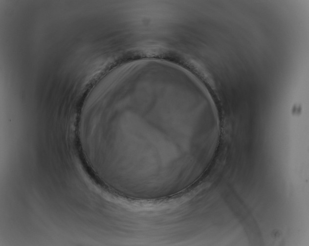 X0000092000018200709271517