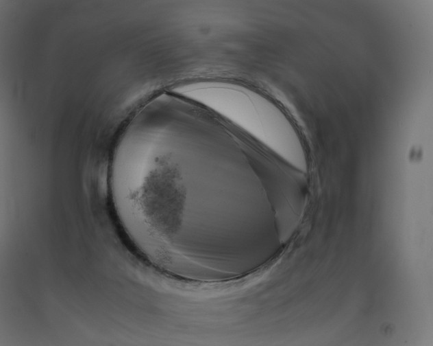 X0000092000019200709271517