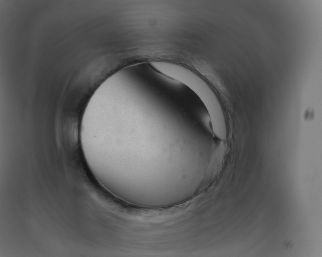 X0000092000021200709271517