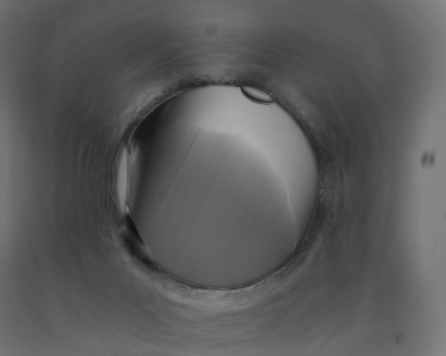 X0000092000023200709271517