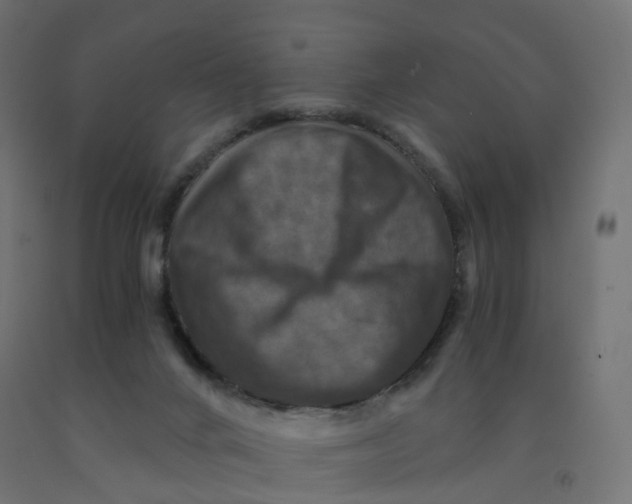 X0000092000024200709271517