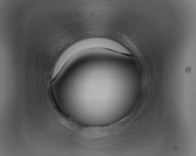 X0000092000025200709271517