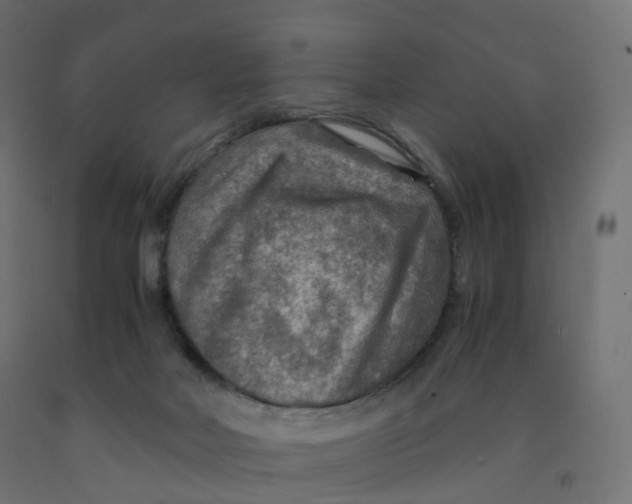 X0000092000026200709271517