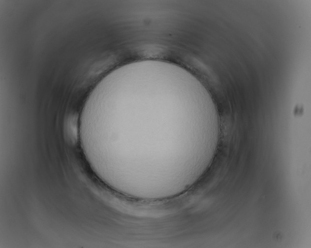 X0000092000028200709271517