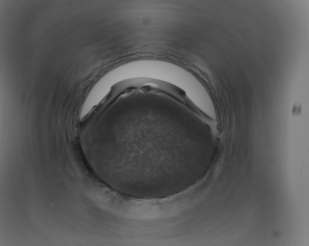 X0000092000029200709271517