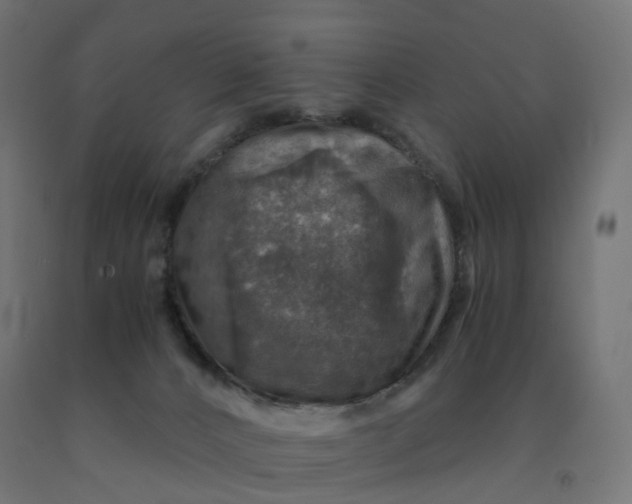 X0000092000032200709271517