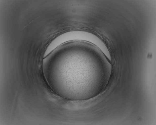 X0000092000033200709271517