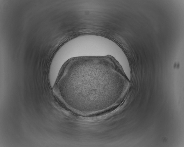 X0000092000045200709271517