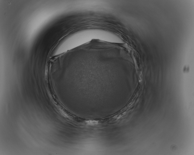 X0000092000052200709271516