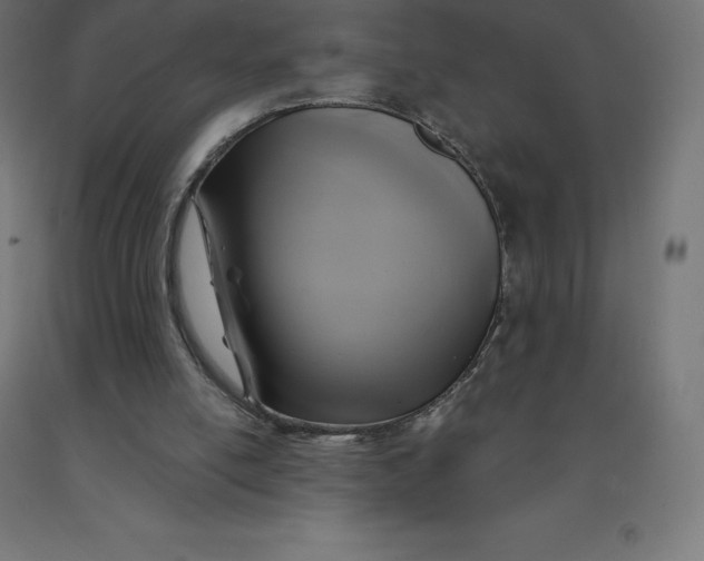 X0000092000054200709271516