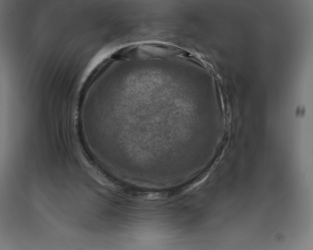 X0000092000056200709271516