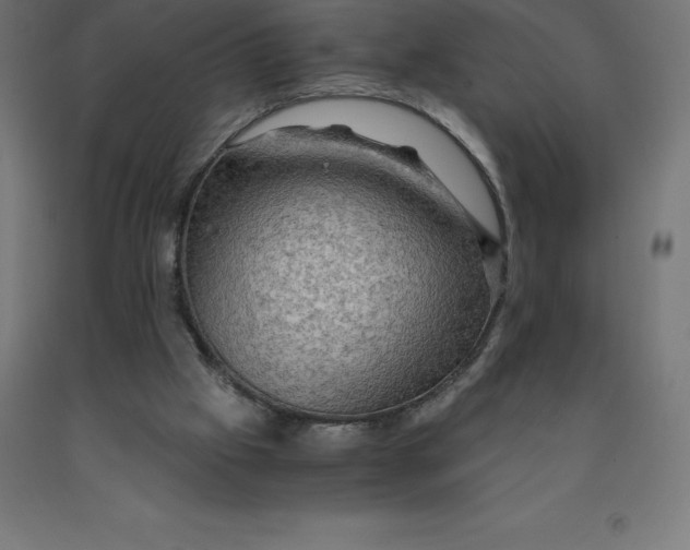 X0000092000057200709271516