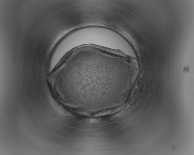 X0000092000060200709271516