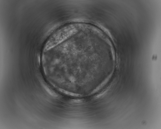 X0000092000061200709271516