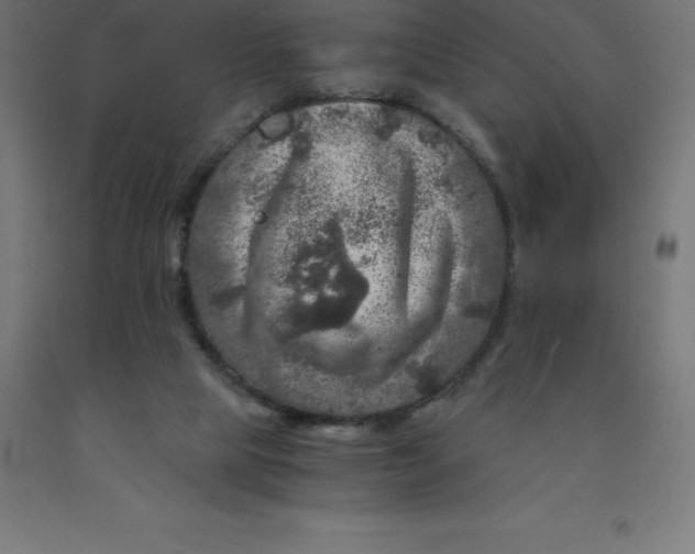 X0000092000065200709271516