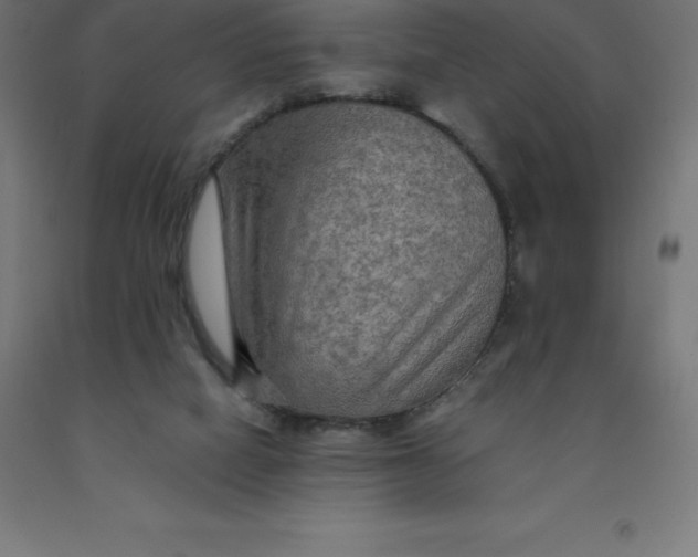 X0000092000066200709271516