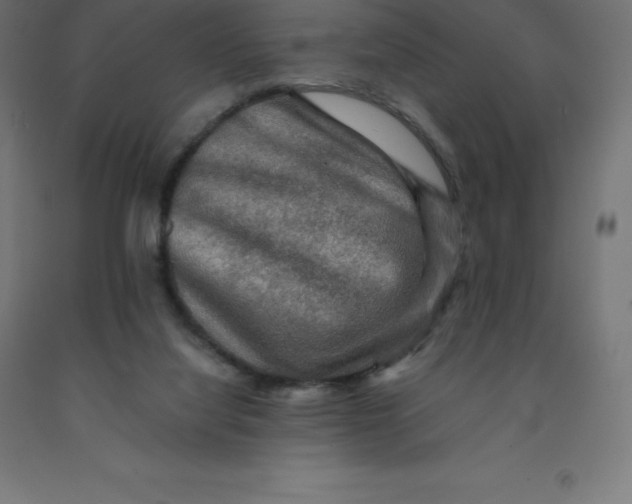 X0000092000068200709271516