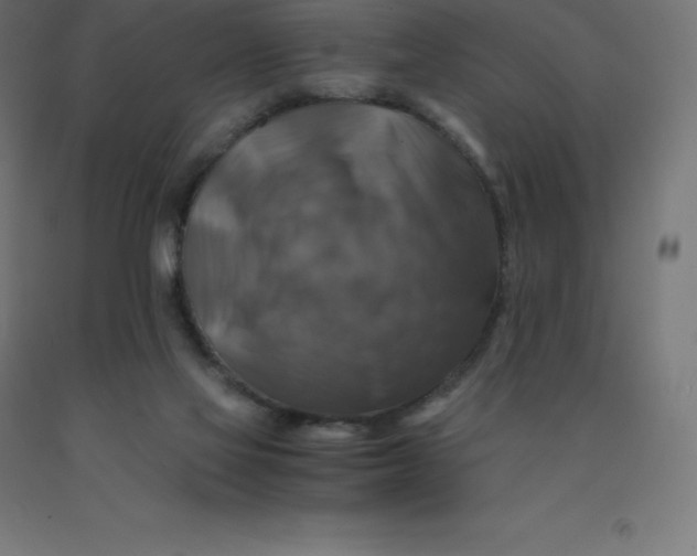 X0000092000069200709271516