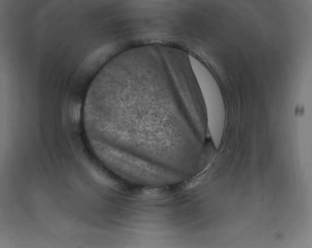 X0000092000070200709271516