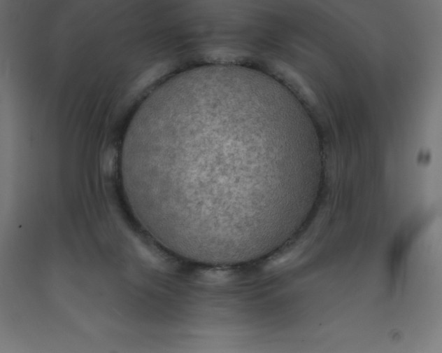 X0000092000071200709271516