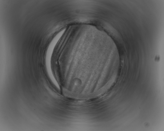 X0000092000072200709271516