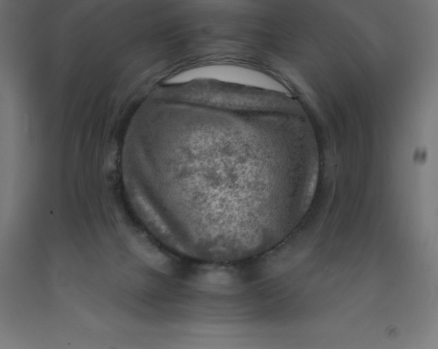 X0000092000073200709271516