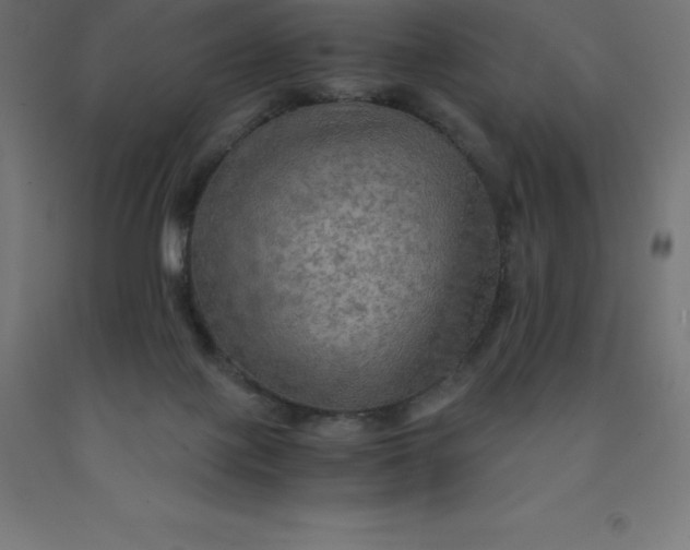 X0000092000075200709271516