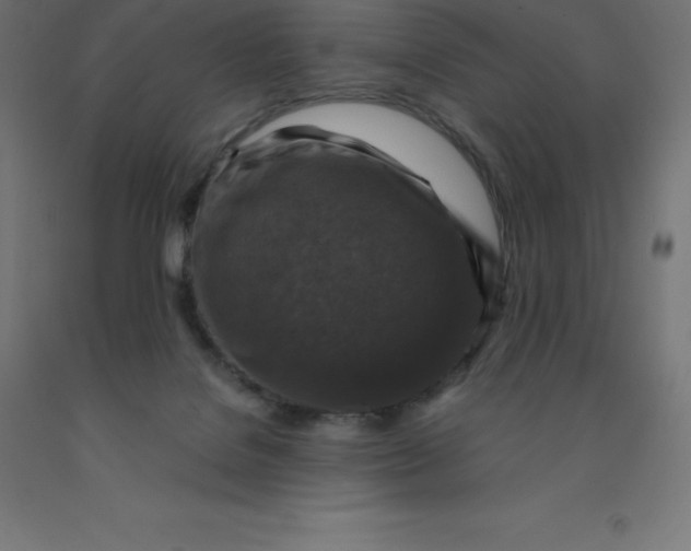 X0000092000076200709271516