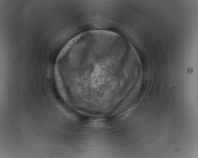 X0000092000078200709271516