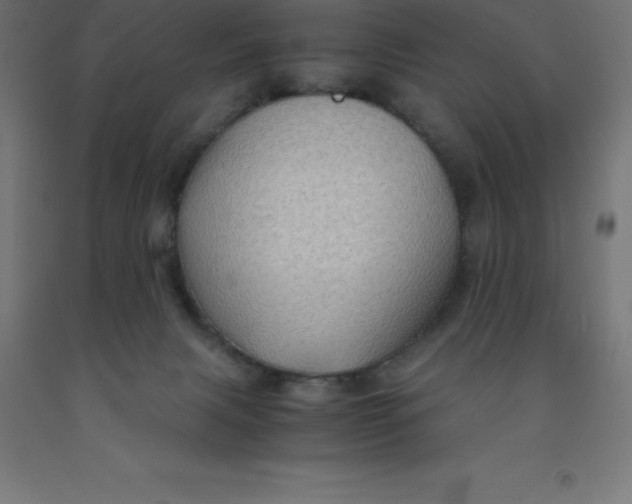 X0000092000079200709271516