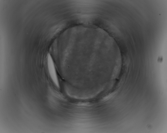 X0000092000080200709271516