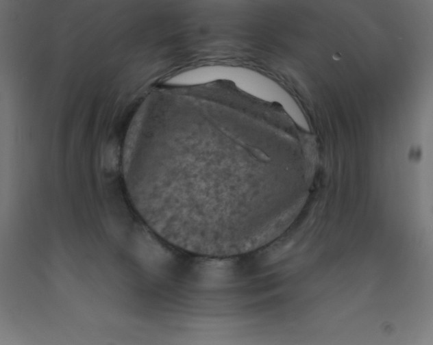 X0000092000081200709271517