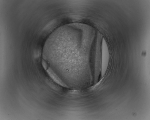 X0000092000082200709271517