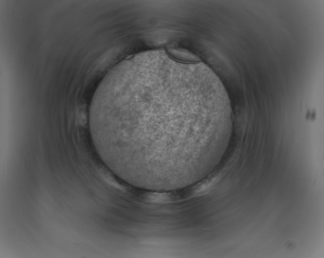 X0000092000085200709271517