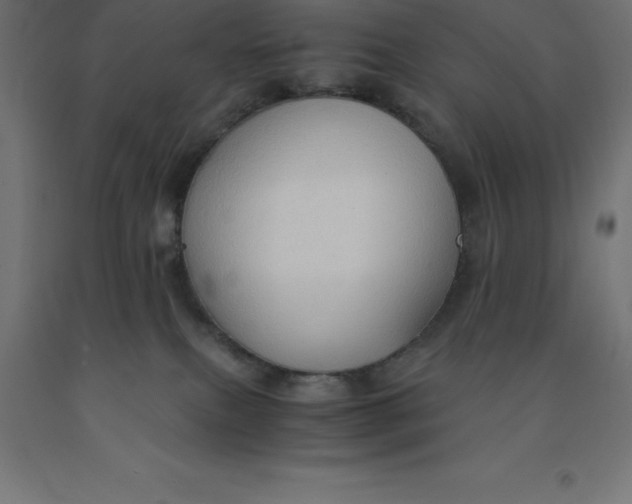 X0000092000087200709271517